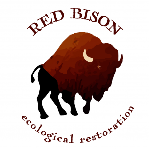Red Bison ecological restoration logo