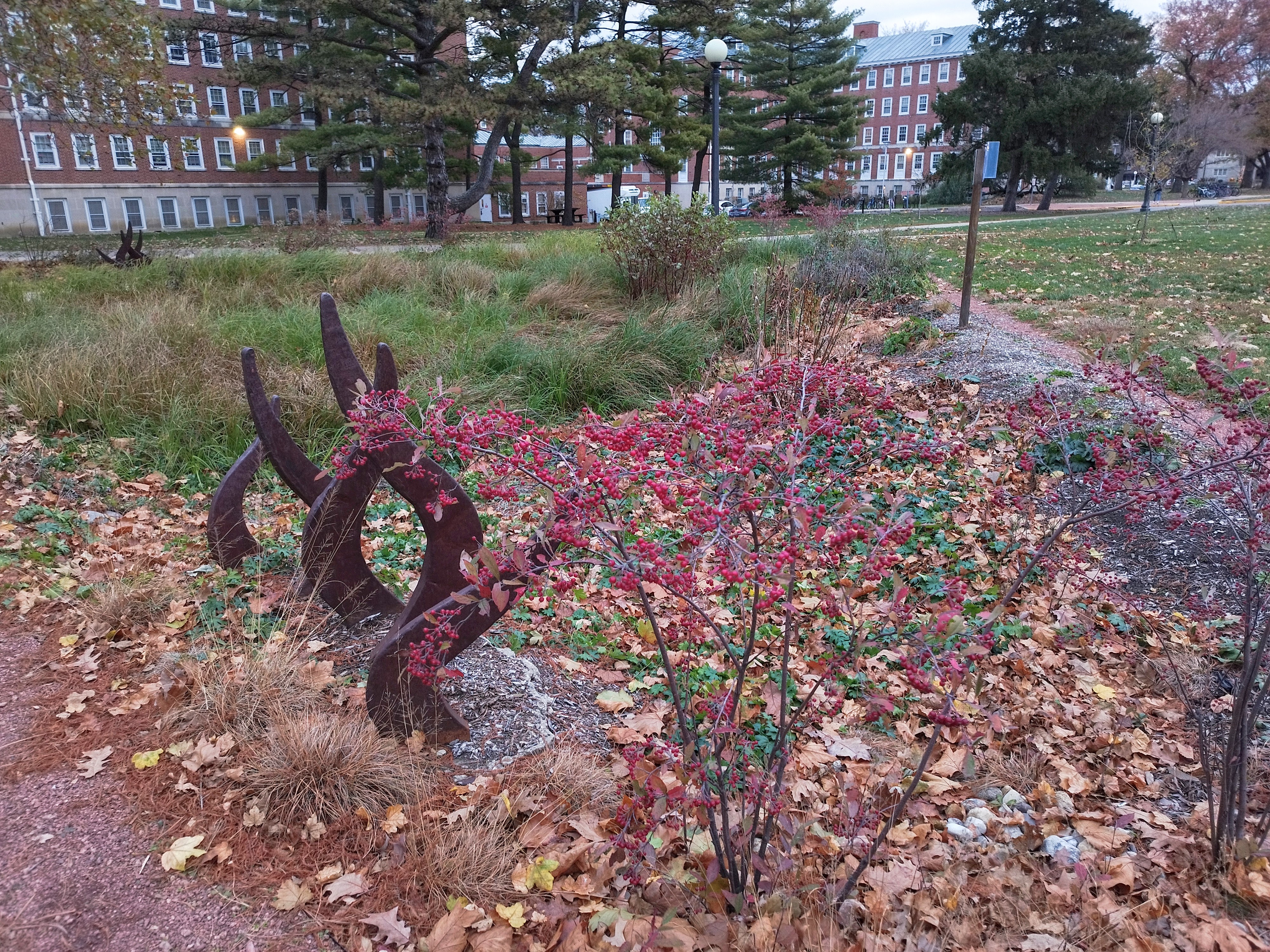a plant with red leaves next to a small sculpture consisting of dark red-brown vertical waves